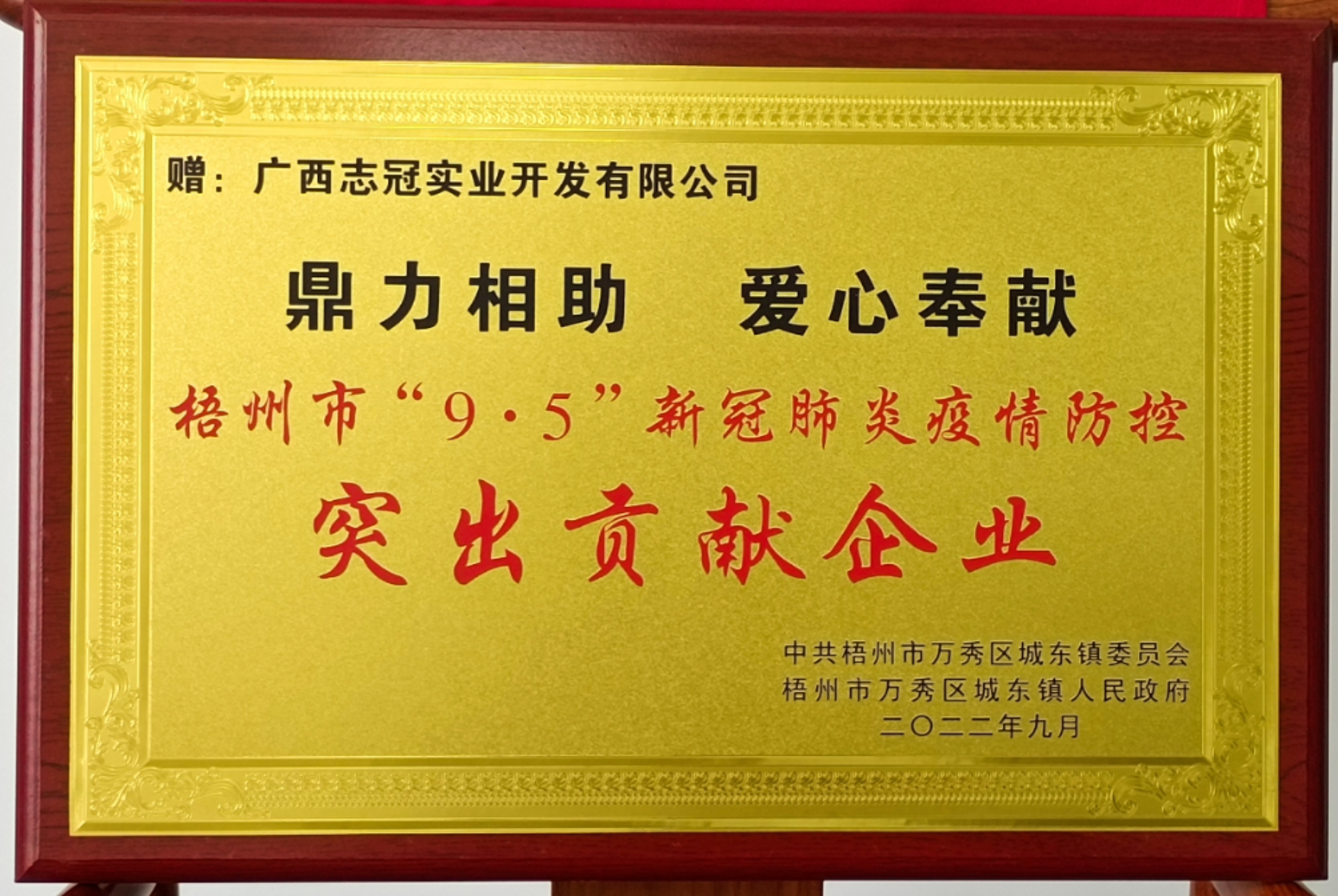 梧州市“9.5”新冠肺炎疫情防控突出贡献企业